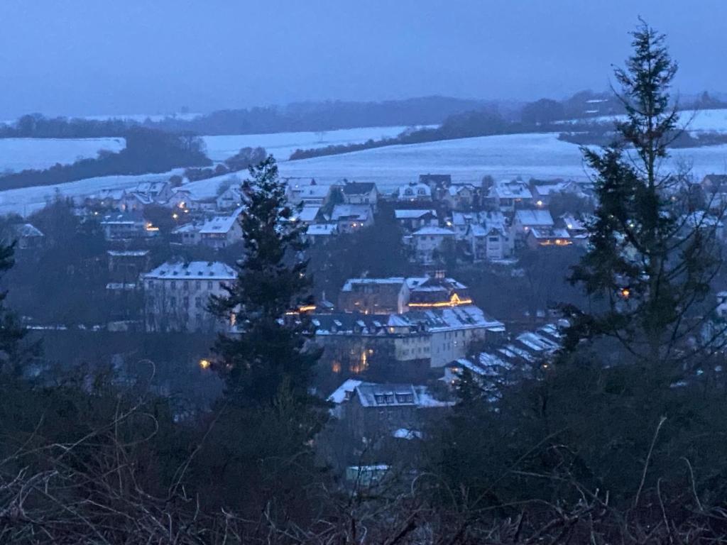 vue d'une ville la nuit avec des arbres dans l'établissement Paradies in der Vulkaneifel mit Panorama-Blick, à Burgbrohl