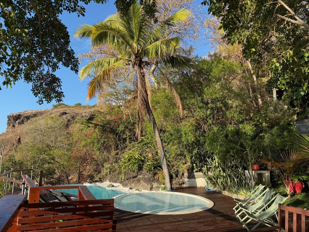 a resort with a palm tree and a swimming pool at Villa Abre de l'intendance avec vue mer et piscine à Boucan Canot in Saint-Paul