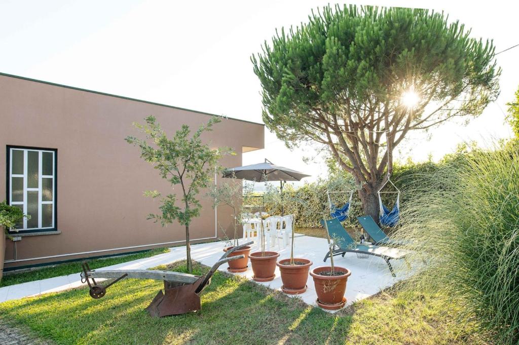einen Garten mit einer Bank und einem Tisch und einigen Pflanzen in der Unterkunft Casa Carvalho de Bouça, Moreira Monção 