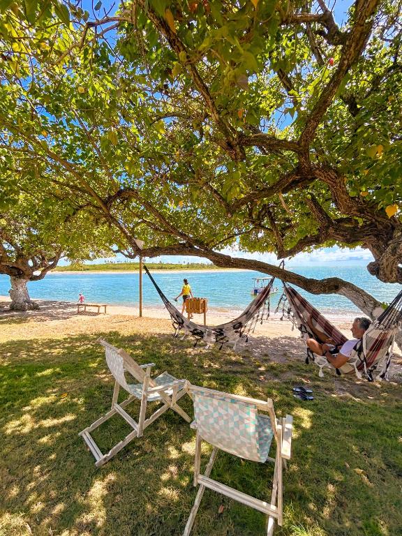 a hammock and a chair under a tree on the beach at Maruê Guesthouse Porto de Pedras in Pôrto de Pedras
