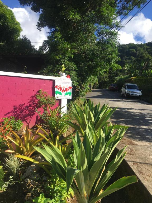 un jardín con un cartel delante de una pared rosa en Anthurium Apartment, en Roseau