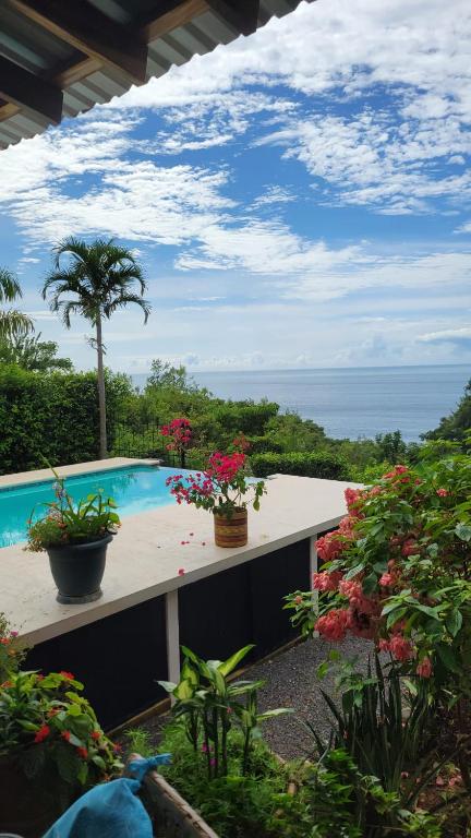 a swimming pool with flowers and a view of the ocean at Casa Boa Casita Tambor in La Abuela