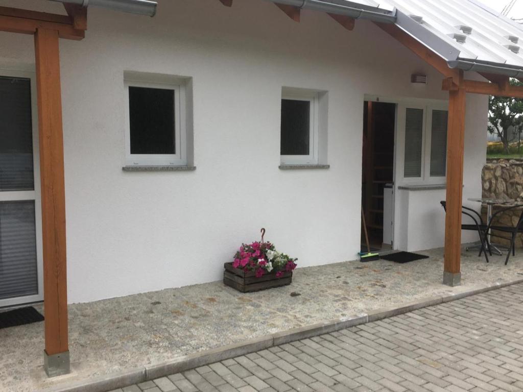 KrobicaにあるPokoje przy strumyczkuの鉢植えの玄関付白家