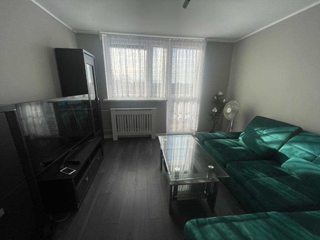 托伦Trzy pokojowe mieszkanie przy UMK ,kilka przystanków od starego Miasta的配有沙发和平板电视的客厅