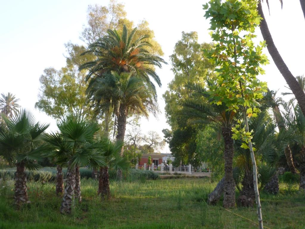 Zahrada ubytování Maison d'hôtes Oujda