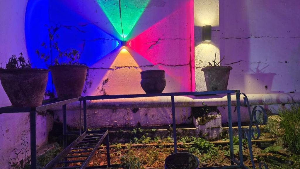 Κήπος έξω από το Nature View Private Villa