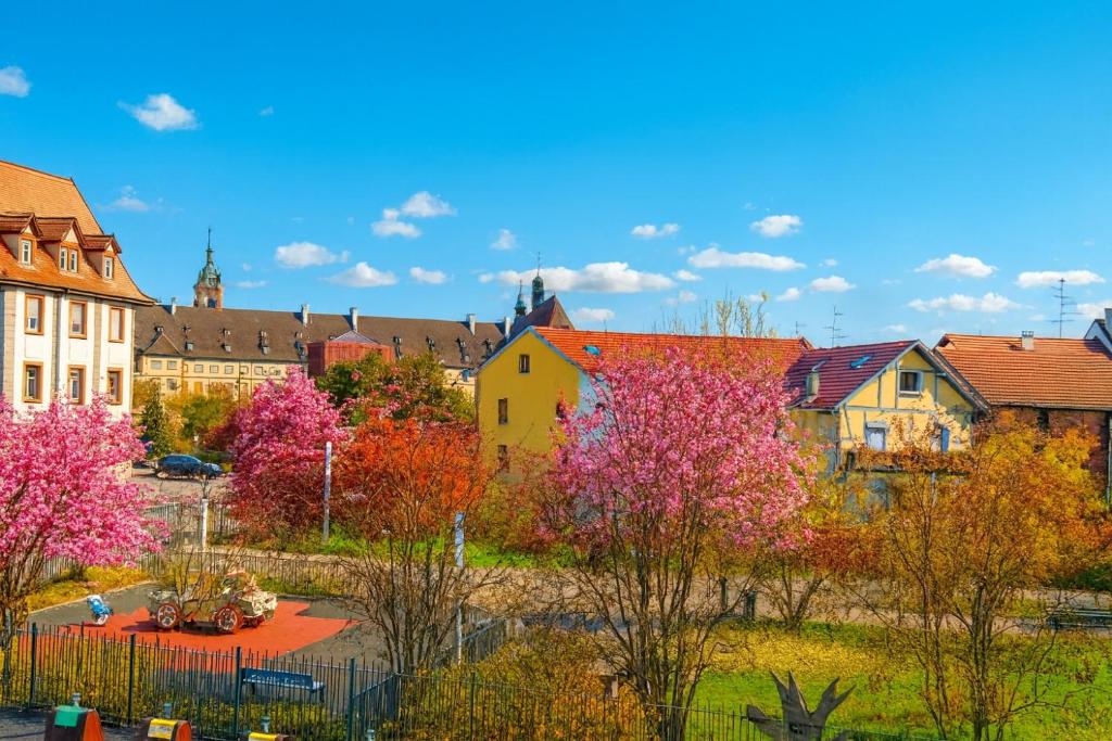 La Cotonnière Colmar Downtown – photo 33