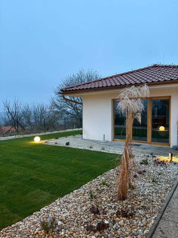 une maison avec un palmier dans la cour avant dans l'établissement DoMi panorama&wellness, à Dudince