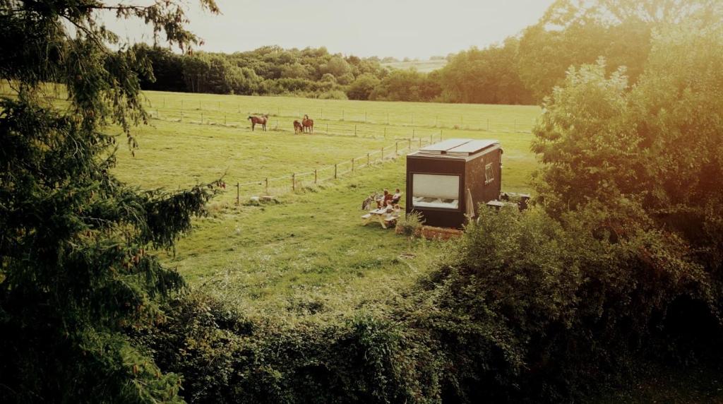 a smallshed in a field with cows in a field at Parcel Tiny House Mainteloup dans le perche Normand in Bretoncelles