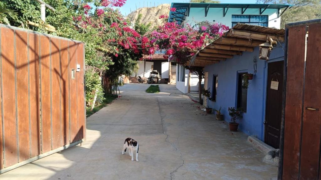 Villa Naylamp Loft 3 playa pocitas