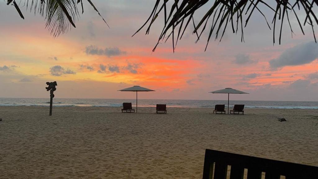 Příroda nedaleko hotelu