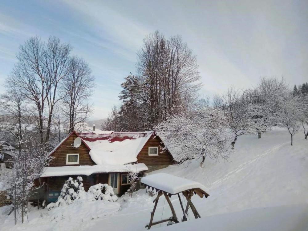 Котедж У потічка om vinteren