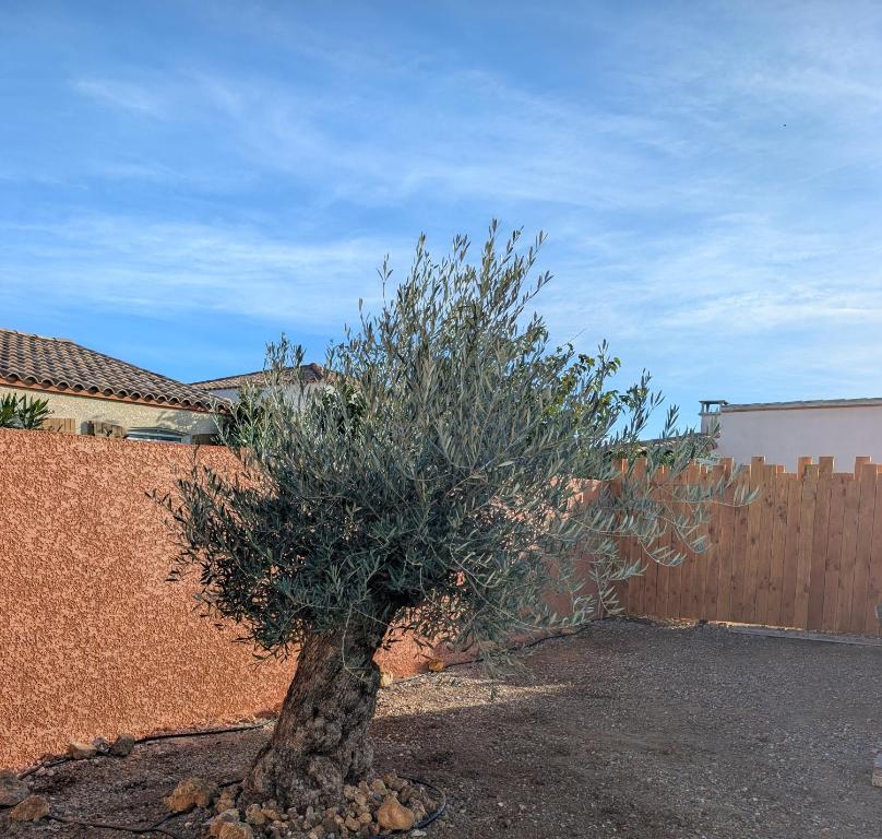 Un pequeño árbol en un patio al lado de una valla. en Localodge, en Caves