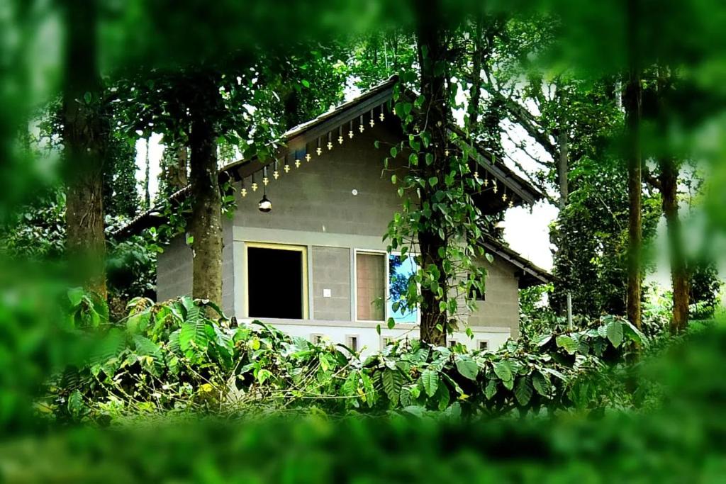 Κήπος έξω από το Finca Backwater Homestay