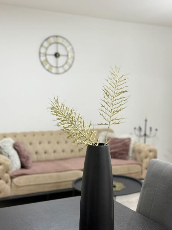 Modern Lux Apartment