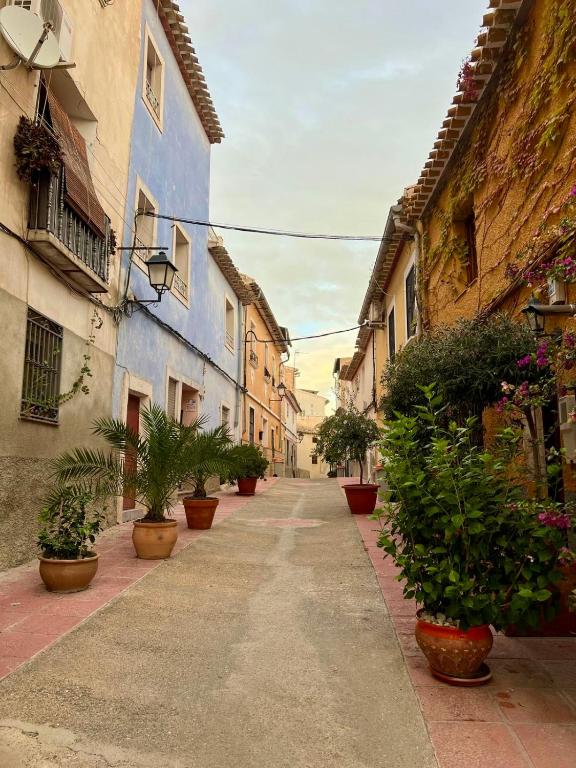 an alley with potted plants on the sides of buildings at La Casa Azul in Cehegín