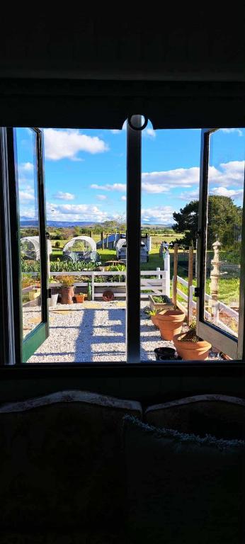 a window view of a patio with potted plants at Heartland cottage in Ross