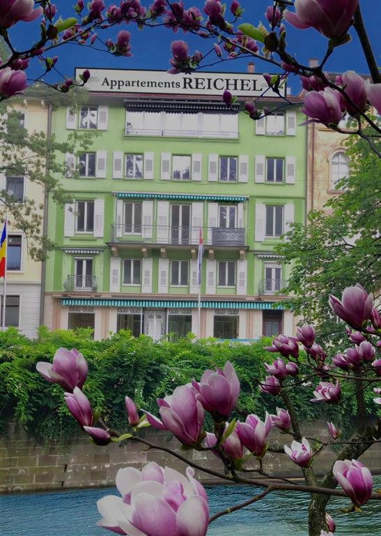 a flowering magnolia tree in front of a building at eco Appartements Reichel in Baden-Baden