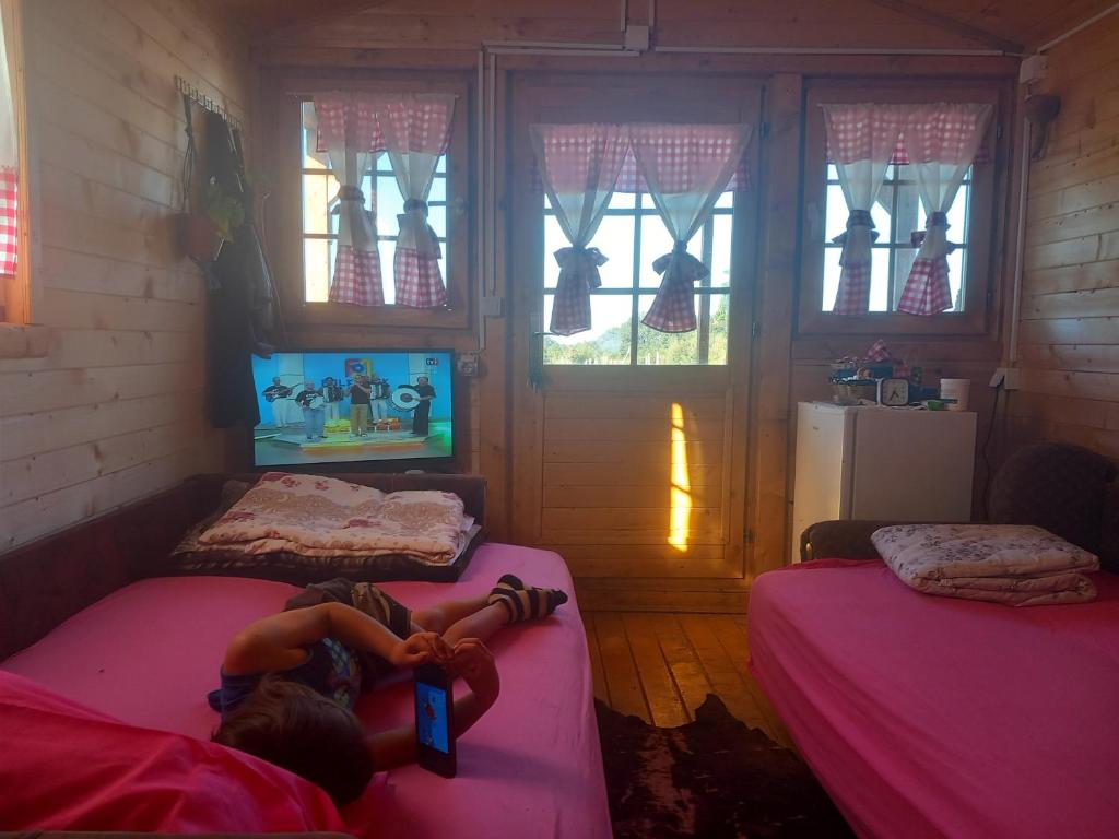 Una cama o camas en una habitación de Brvnara Radisavljevic Sikole