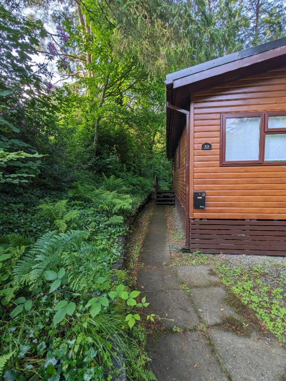 a cabin in the woods with a path next to it at Nyth y Dryw in Machynlleth