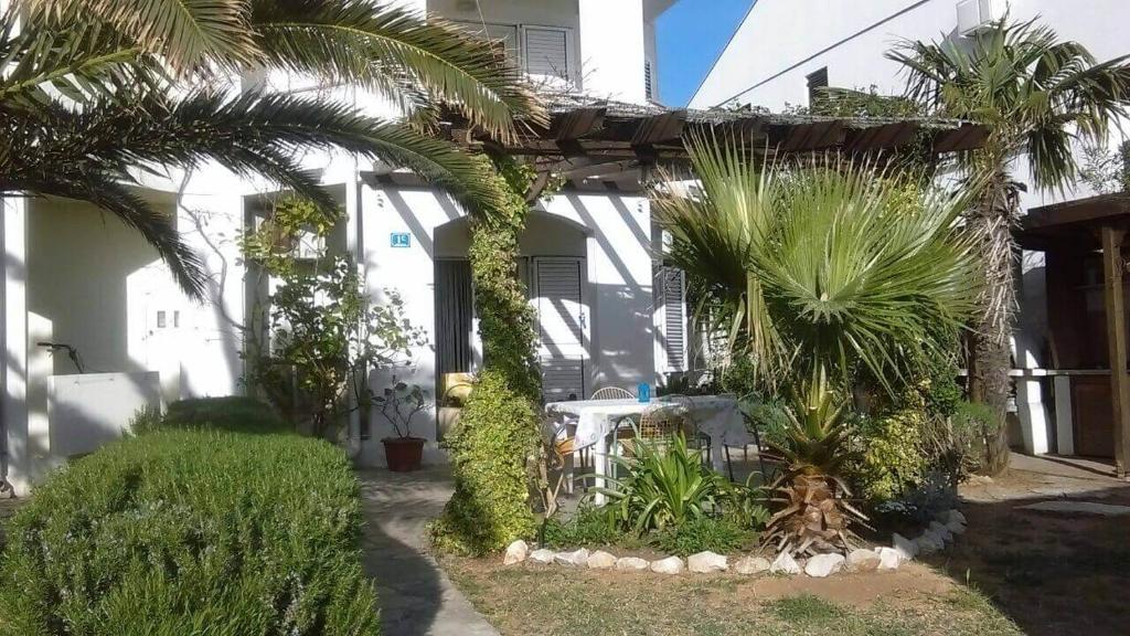 a house with palm trees and plants in the yard at Apartments Lončar in Novalja