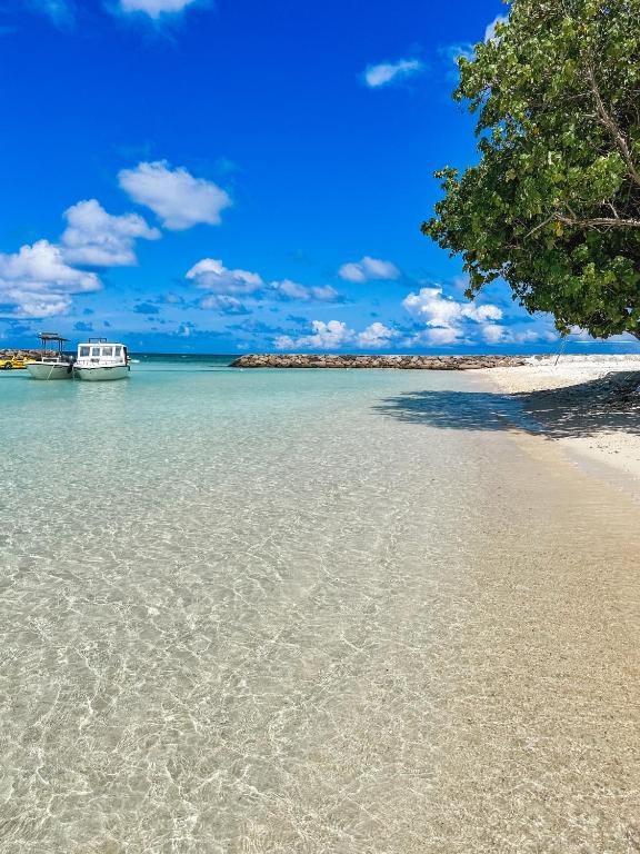 a view of a beach with a boat in the water at SunSeaSurf Maldives in Thulusdhoo