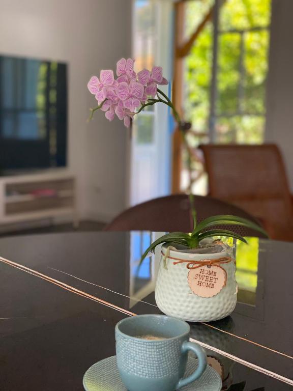 a cup of coffee and a flower in a vase on a table at Letoilevelli in Salazie