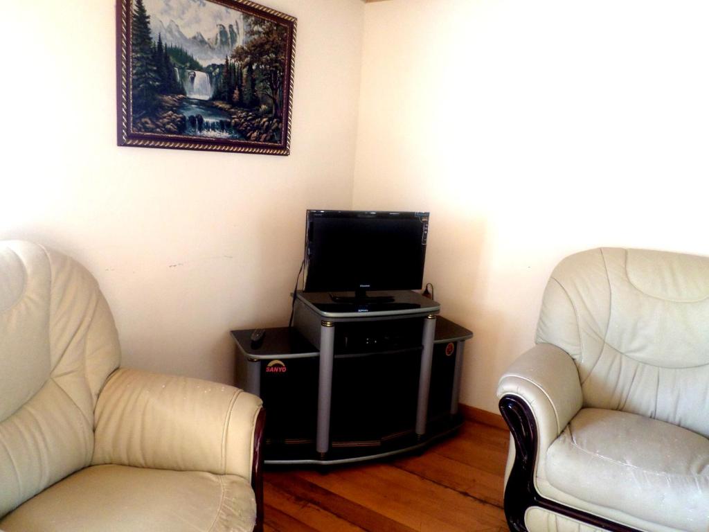 TV a/nebo společenská místnost v ubytování Gosh hotel