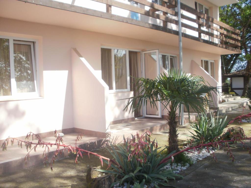 a house with some plants in front of it at Dubrava Guest House in Loo