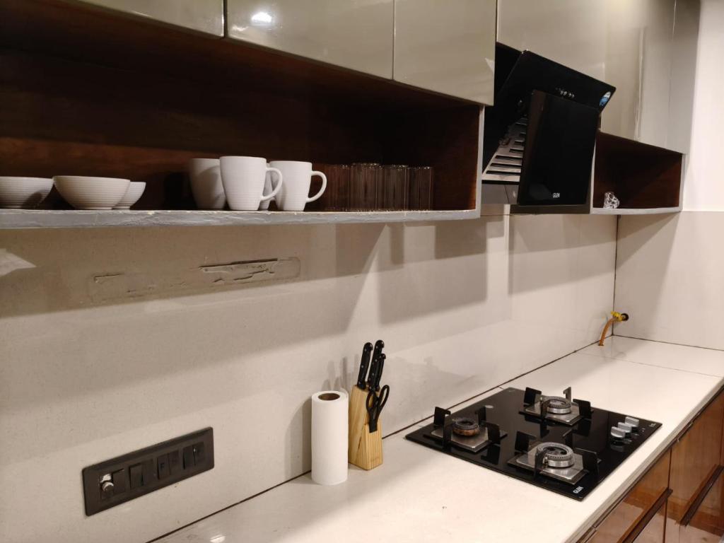 Una cocina o cocineta en Luxurious 4BHK for Elderly Tourists Medical Tourists and Persons with Enhanced Needs Dwarka Sector 12