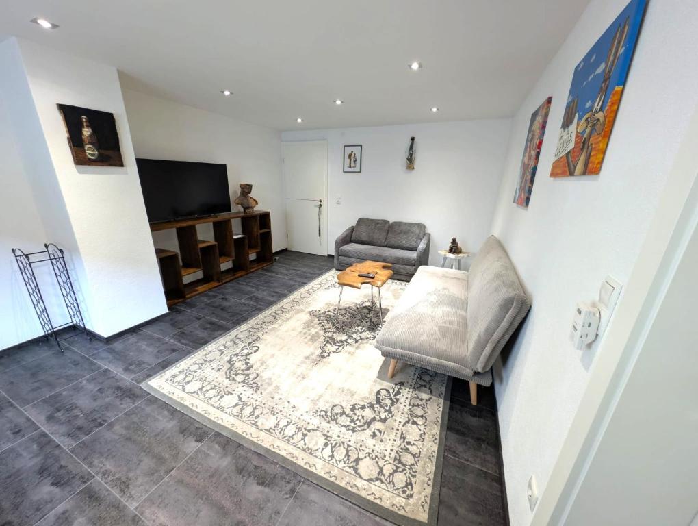 ein Wohnzimmer mit Sofa und Fernseher in der Unterkunft Modern habitable gallery, centrally located in Hirschaid in Hirschaid