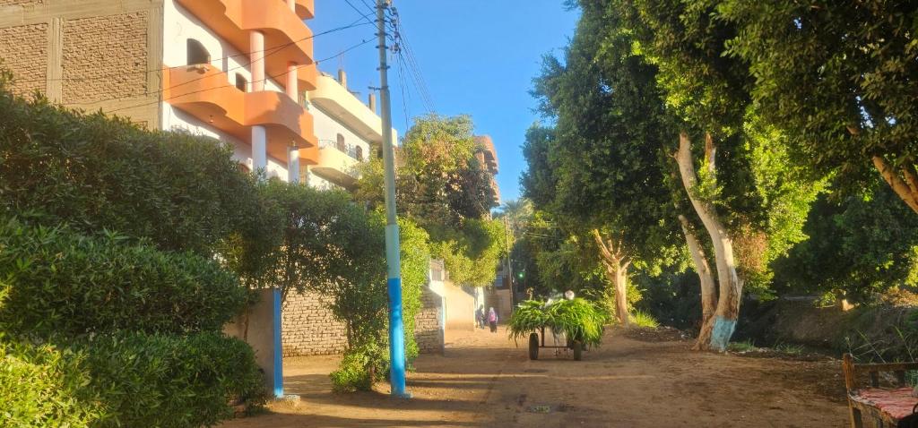 une rue bordée d'arbres, un bâtiment et un poteau bleu dans l'établissement Luxor Adventure Guest House, à Al Aqālitah