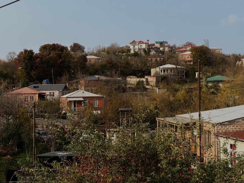 - Vistas a una ciudad con casas y árboles en Panorama Gora, en Kutaisi