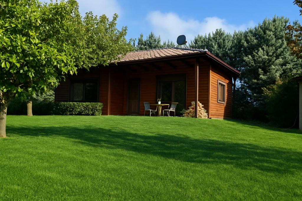 a small wooden cabin with a grassy yard at Dream PARADISE in Néa Michanióna