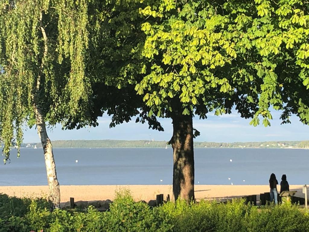 Φωτογραφία από το άλμπουμ του Schöne Wohnung am Strand σε Harrislee