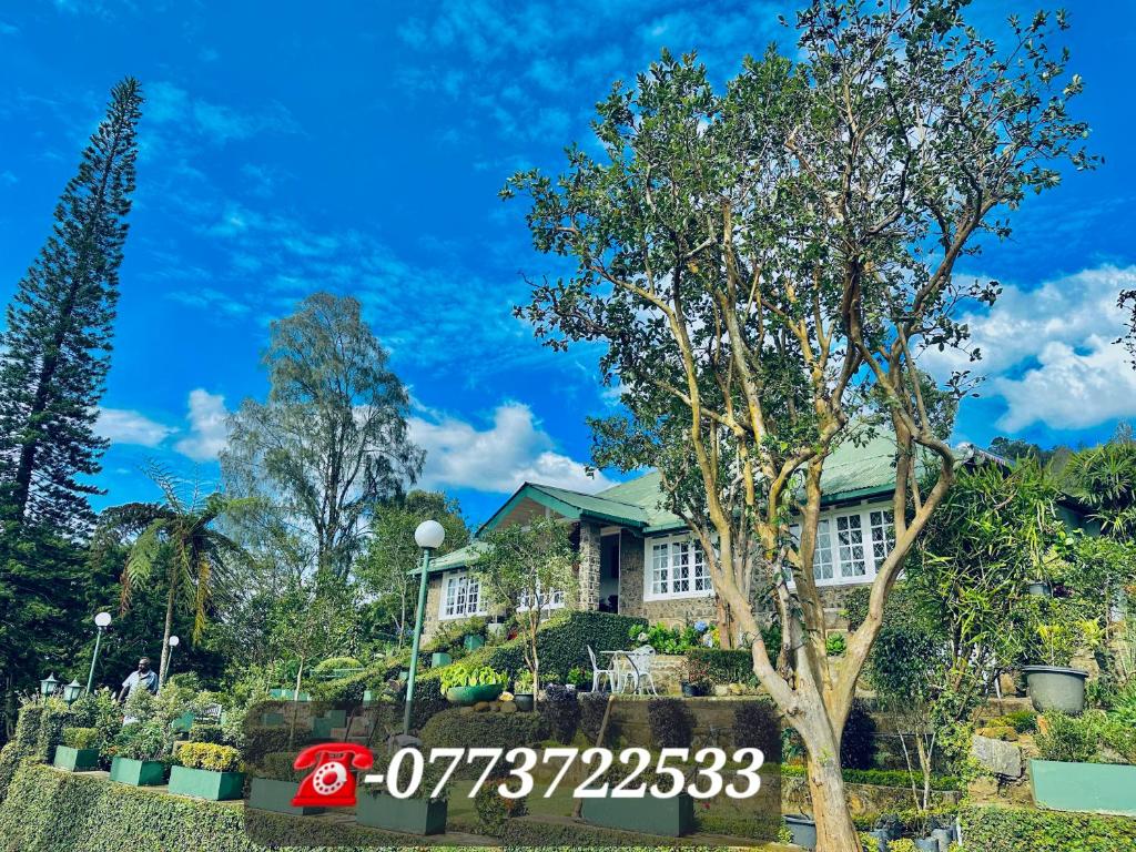 a house with a tree in front of it at The Bloomsdale Country House in Haputale