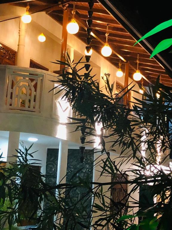 a ceiling with lights and a plant in a room at Thusitha s nest in Dickwella