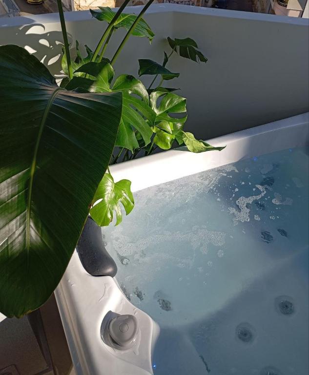 AirRent Apartments 4 Jacuzzi Suite