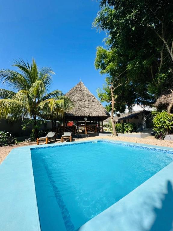 a swimming pool in front of a resort at Lemon Lodge Nungwi in Nungwi