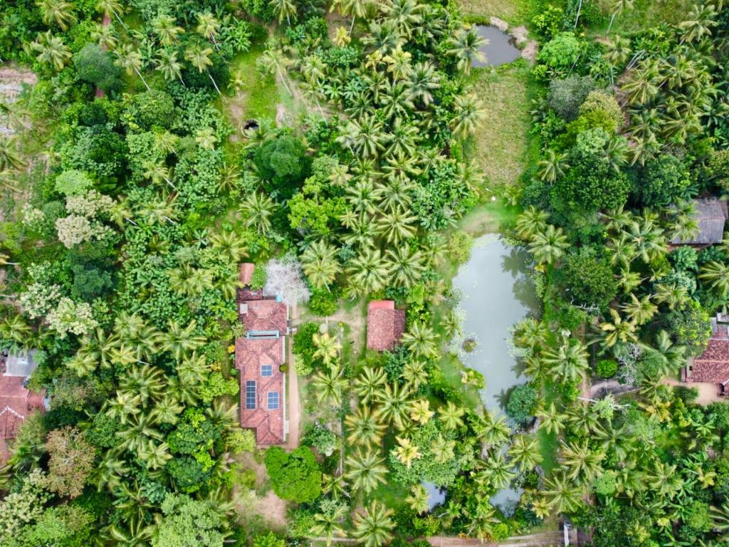 an overhead view of a garden with a house and trees at EcoBlueprint Garden in Pannala