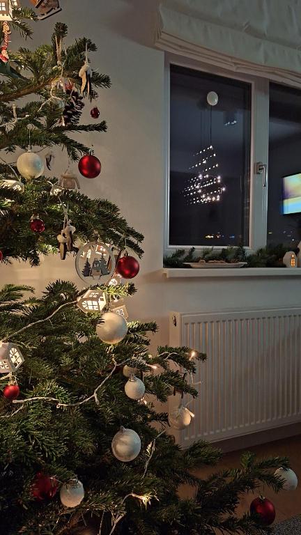 ein Weihnachtsbaum in einem Zimmer mit Fenster in der Unterkunft DOM HILLS Bucovina in Gura Humorului