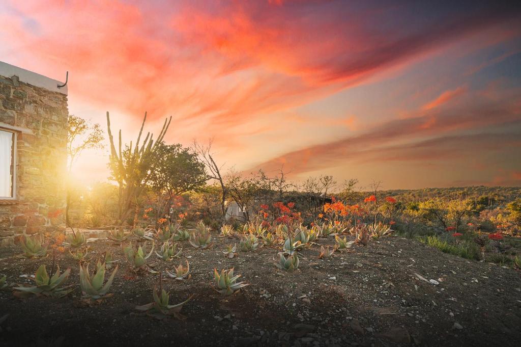Solopgangen eller solnedgangen set fra villaen