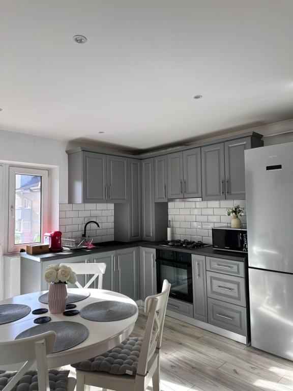 Kuchyň nebo kuchyňský kout v ubytování Bucovina View apartment