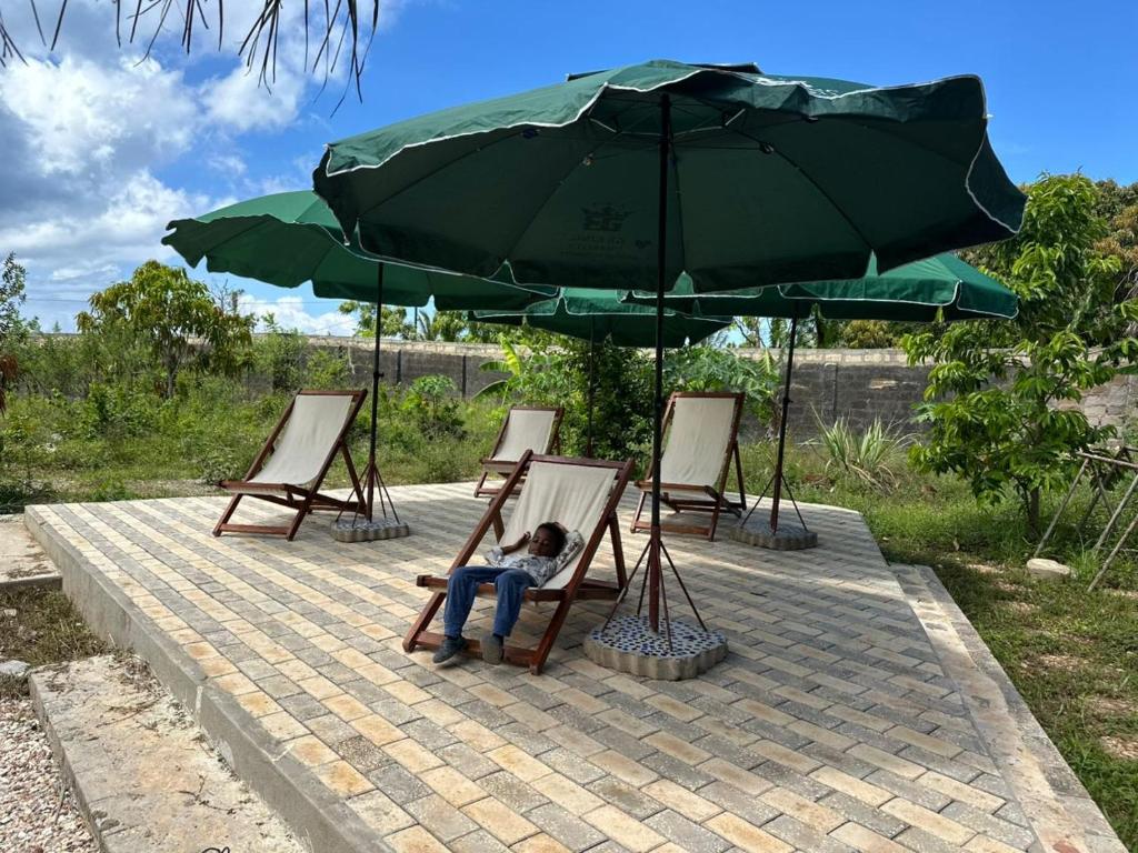 Φωτογραφία από το άλμπουμ του Emerald Garden Apartment σε Nungwi