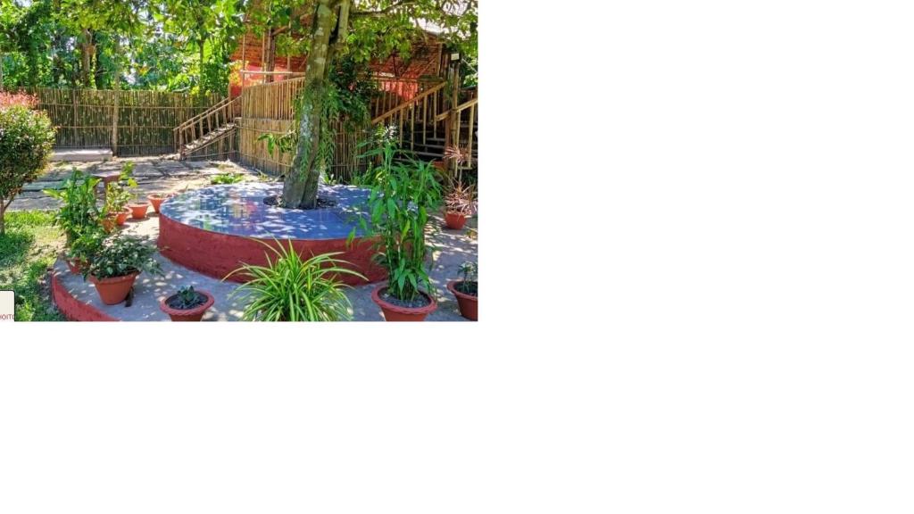 Κήπος έξω από το Barhoitoka Homestay