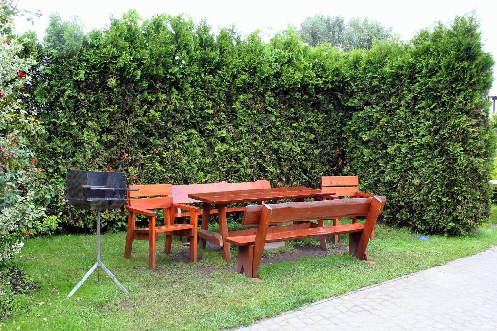 Perełka Bałtyku - 19