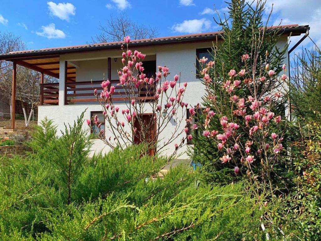 ein Haus mit rosa Blumen davor in der Unterkunft Casa Nopcea in Silvaşu de Sus