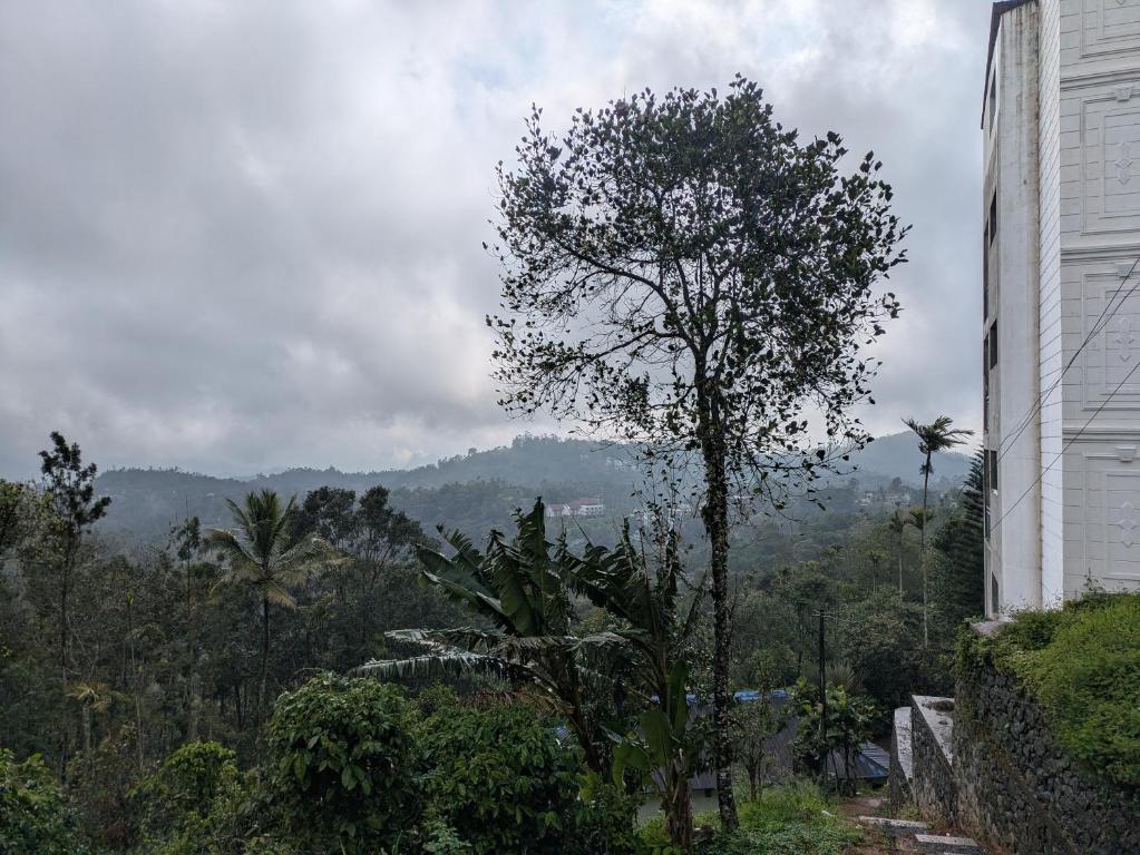 a tree next to a building with a mountain at Haze Munnar Homestay in Anachal