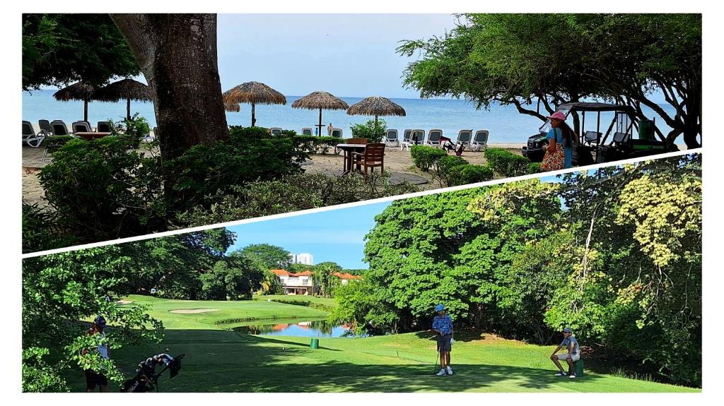 Příroda nedaleko apartmánu