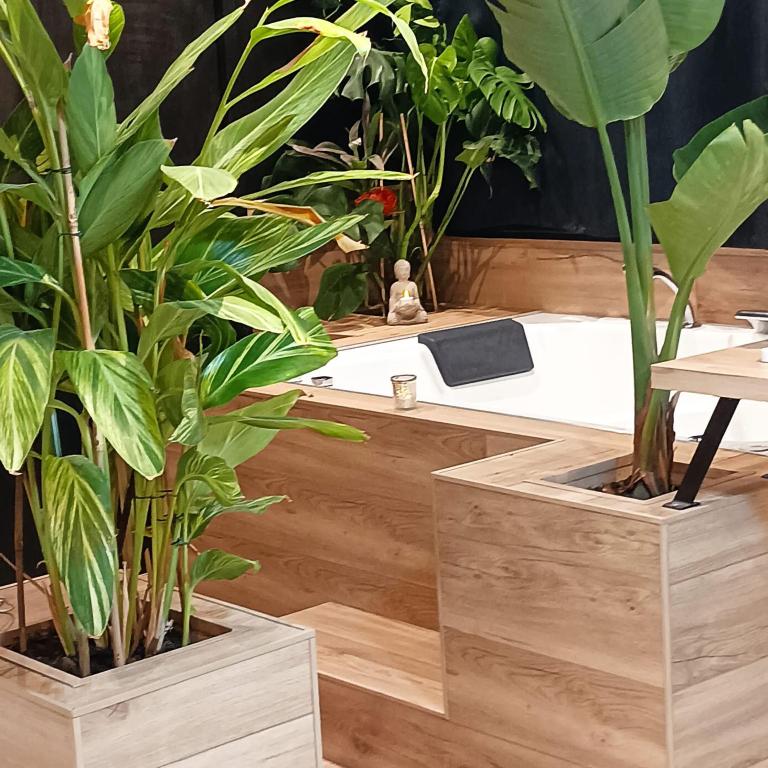 a bathroom with two plants in wooden boxes at Suite Zen Balnéo in Montpellier